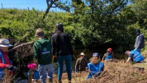 River restoration event held in Culdaff
