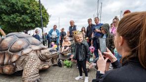Adventures for all the family await at Derry's Foyle Maritime Festival