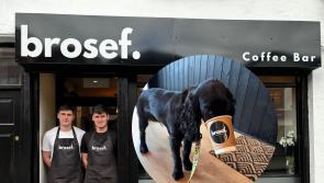 Pups and cups at Brosef: ‘It’s not just coffee, it’s an experience’