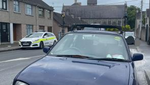 Reckless Kilkenny driver stopped by local Gardaí