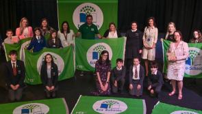 Derry and Strabane schools shine with nine Green Flag Awards