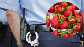 Waterford strawberry seller robbed by two teenage boys in daylight heist