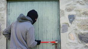 Theft offences in Laois/Offaly spike as drug driving incidents double 