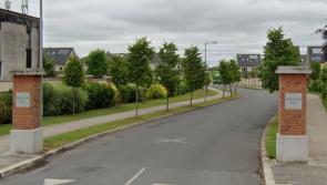 Theft from vehicle in North Kildare reported to garda&iacute;