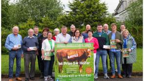 'If you&rsquo;re not in you can&rsquo;t win' - '5 star' Limousin heifer up for grabs in Mohill Show raffle