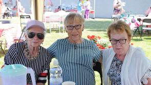 Dundalk's Pease Park set to celebrate 75th anniversary