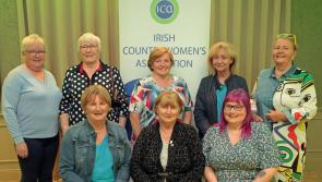 From cookery to patchwork, entries for craft section of Longford Show are significantly increased