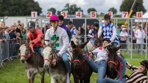 Organisers putting final touches on preparations for Clonmel Show this Sunday 