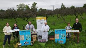 South Tipperary's history of beekeeping to be celebrated at Clonmel Show