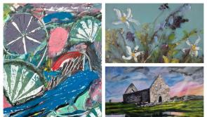 PICTURES: Solas Art Gallery Summer Group Exhibition at Island Theatre, Ballinamore