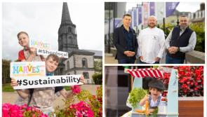 Full steam ahead as Waterford's Harvest Festival returns for 15th year 