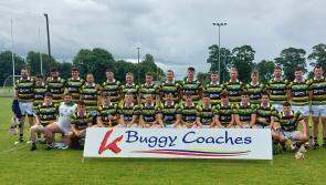 Heroic Belmont make history with first senior hurling title as Birr left pondering