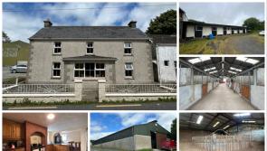 PICTURES: Dream Tipp house with almost 200 acres and stables on sale for big price tag