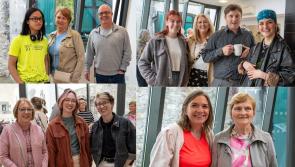 In Pictures: Burst of colour at Laois summer arts exhibition
