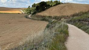 Opinion: The simple magic of the Camino in a world packed full of busyness 