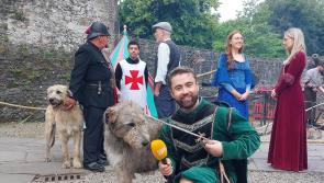 TV weatherman returns to his old stomping ground at Bunratty Castle and Folk Park
