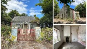 PICTURES: DIYer's delight as Waterford cottage with grants on offer on sale for bargain price