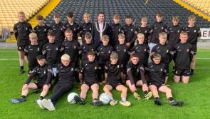 Mayor of Kilkenny City marks centenary of death of James Nowlan