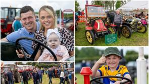 IN PICTURES: Vintage summer's day in Laois at the Raheen show 