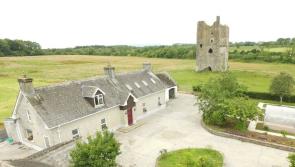Laois farm on over 60 acres with castle on its grounds to go under the hammer