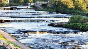 Inland Fisheries Ireland investigating deaths of 850 wild salmon in Co. Sligo