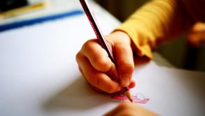 New special needs classroom and other works approved for school in Offaly