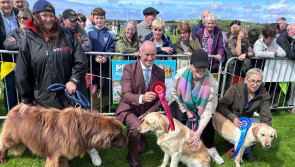 The Ardara Agricultural Show is just around the corner - here's what's to expect