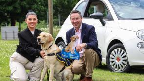 Turning Scents into Pence: Maxol launches new charity initiative for Guide Dogs NI