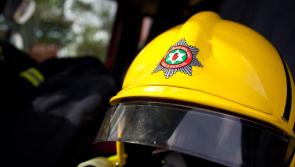 Firefighters and specialist units rescue cow from water near Park village
