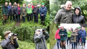 PICTURES: Nature lovers unite to enjoy bird watch walk along Clare border