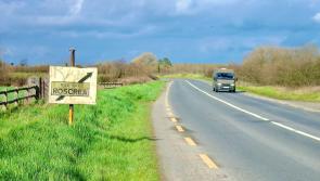 'Frightening' speeding in Roscrea condemned by councillors