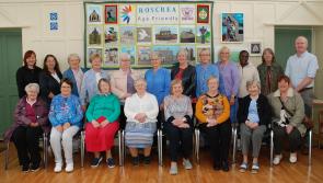 Age Friendly Roscrea's craft group unveil new Roscrea inspired work