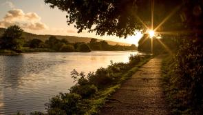 Guided tour walk of River Suir towpath in Carrick-on-Suir is planned 