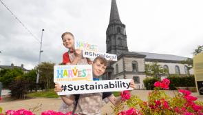 Save the dates! Details of Waterford Harvest Festival 2024 are confirmed
