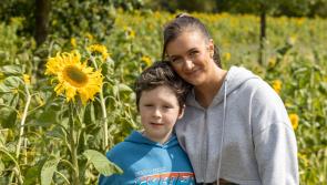 Met Éireann and Carlow Weather forecasts long sought lift in summer weather