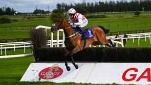 Shark Watch at the Galway Races as Rachael Blackmore rides again for glory 