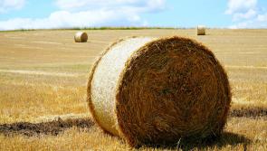 Carlow TD welcomes new Bailing Assistance Payment Scheme 