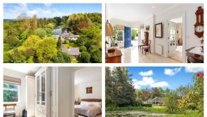 PICTURES: Magical cottage with its own private lake hits the market in Louth for a whopping price