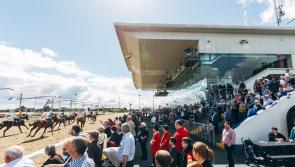 Dundalk Stadium is calling all racing enthusiasts and families to join them for the Bar One Racing Dual Race Day