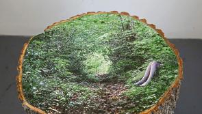 A vivid exploration of time and memory at Butler Gallery in Kilkenny