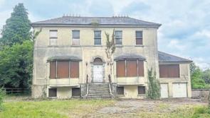 Kildare Cllr urges government to secure Newbridge site for educational campus