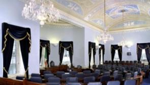Maternity leave for members of the Oireachtas should be fast-tracked, Kildare Senator says