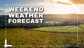 What is the latest weather forecast for the Tullamore Show
