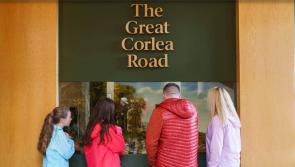 Big interest in new Longford book on Bord na Mona housing estate