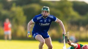 Sarsfields bring Moycarkey Borris down to earth with emphatic victory