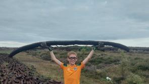 A monster sod! Longford's Jamie McCaffrey with a huge  sod of turf in Abbeyshrule bog 