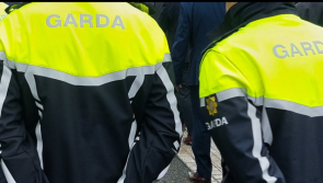 Concern over 'heavy handed' garda approach to Tipperary asylum seeker protest in Dundrum