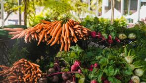A busy few weekends ahead full of interesting events at this Tipp farmers market
