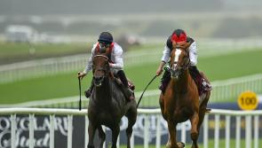 Tipperary trained Queenstown is well backed for Ebor Crown