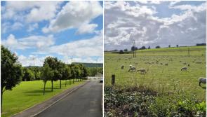 Tipperary-based group campaigning against solar panel farm set for major RTÉ appearance